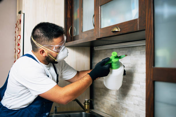 Best Flea Control Services  in Yorklyn, PA