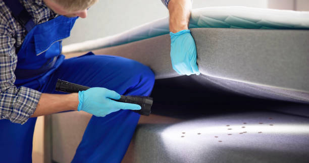 Best Affordable Pest Control Services  in Yorklyn, PA